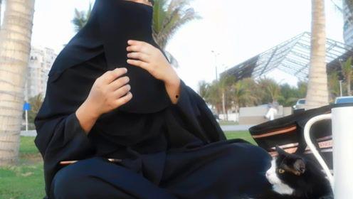 娱乐吃瓜君虐猫,道德底线何在？